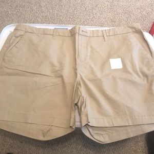 Khaki Shorts